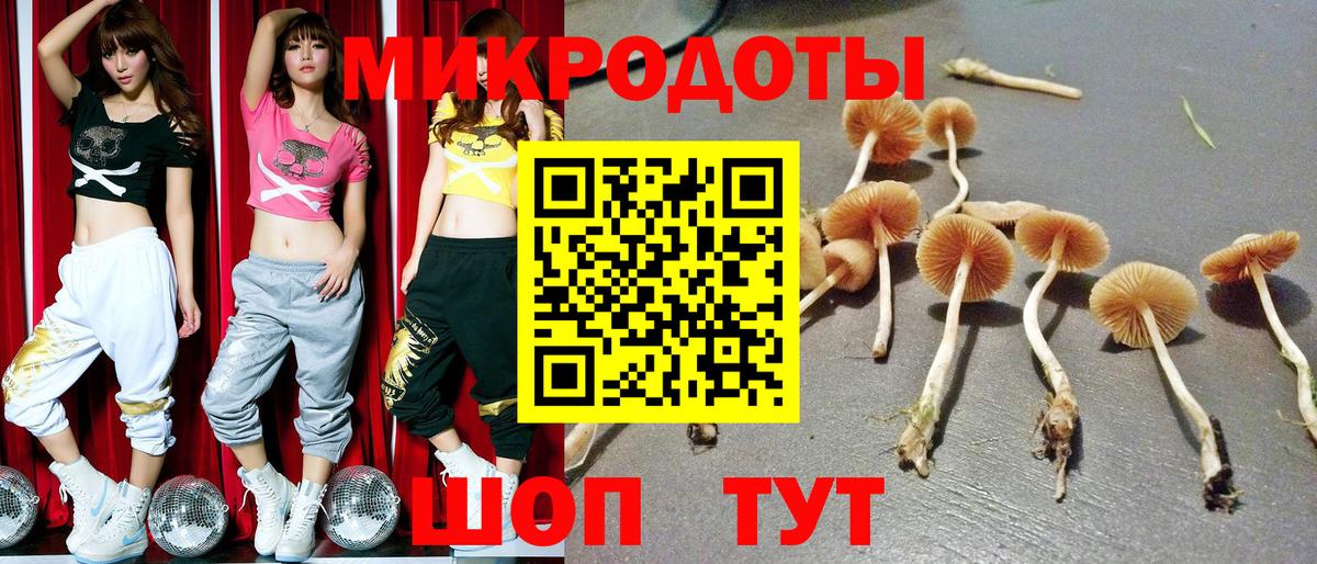 Галлюциногенные грибы ЛСД Люберцы