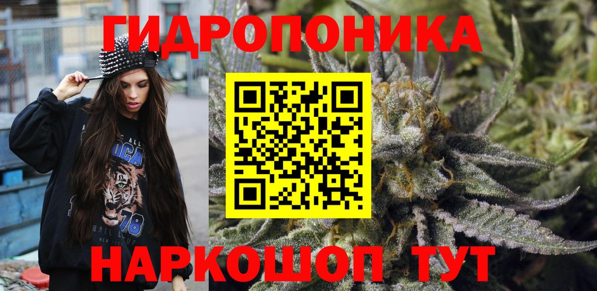 Бошки марихуана гибрид  Каннабис планчик  Люберцы  Вход с VPN  Шишки марихуана конопля 